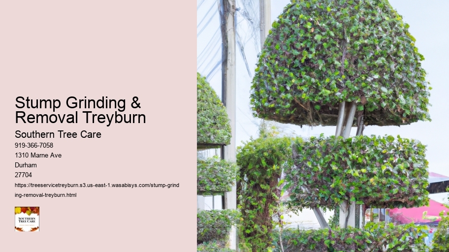 Stump Grinding & Removal Treyburn